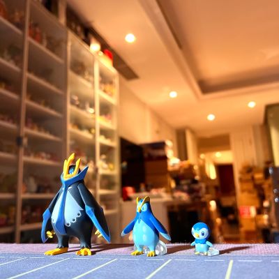 宝可梦比例世界 神奥地区 套装