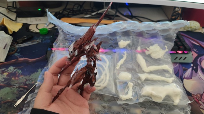 PM 希德尼亚的骑士 继卫