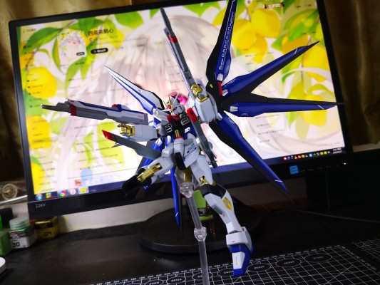 METAL ROBOT魂＜机动战士系列＞ 强袭自由高达