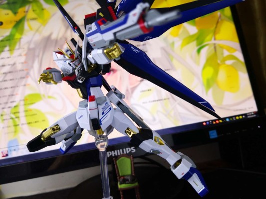 METAL ROBOT魂＜机动战士系列＞ 强袭自由高达