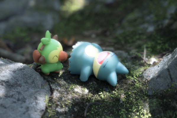 精灵宝可梦 集集乐！叠叠乐！宝可梦森林3 ～迷途的前方～