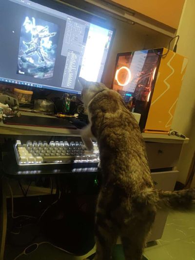 S.H.Figuarts  假面骑士剑斩 猿飞忍者传