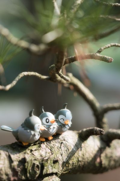 精灵宝可梦 一起排排 好朋友树