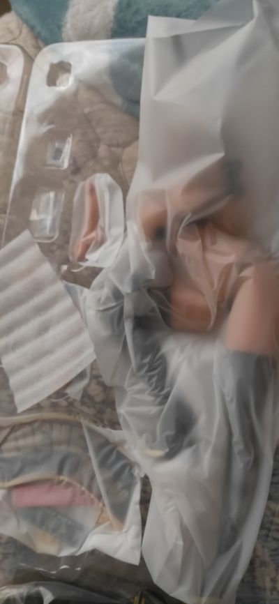 melonbook 扶她挂画 伊丝纳妮