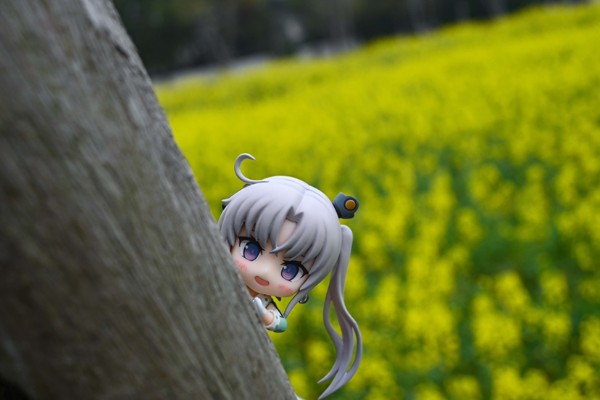 粘土人#577 舰队Collection -舰娘- 秋津洲