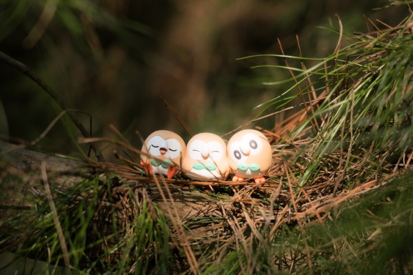 精灵宝可梦 集集乐！叠叠乐！宝可梦森林3 ～迷途的前方～