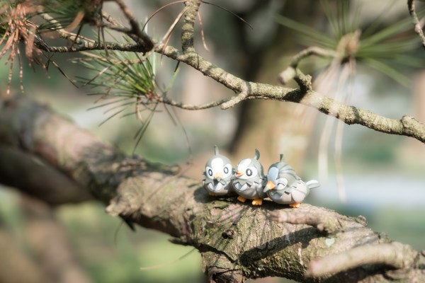 精灵宝可梦 集集乐！叠叠乐！宝可梦森林3 ～迷途的前方～