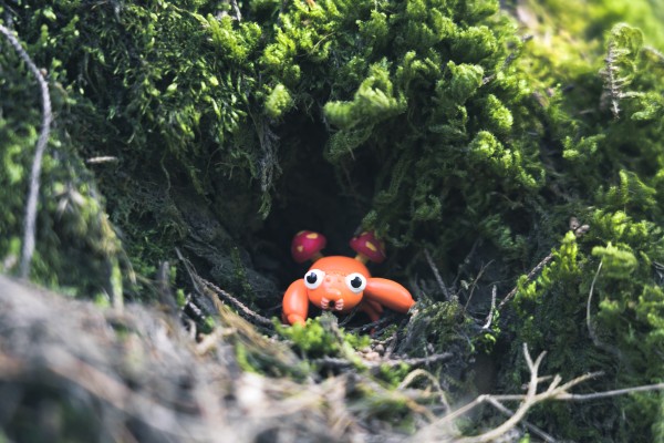 精灵宝可梦 一起排排 好朋友树