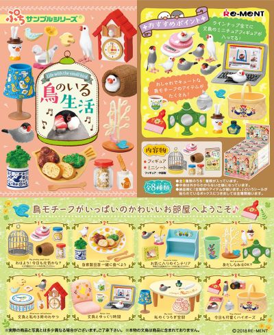 小小样品 有鸟的生活