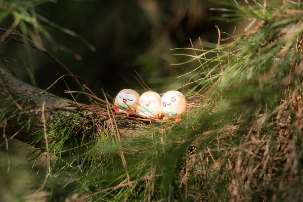 精灵宝可梦 一起排排 好朋友树