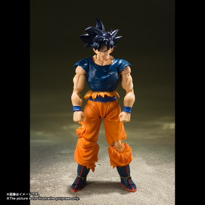 S.H.Figuarts 龙珠超 孙悟空 自在极意功 “兆”