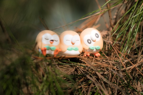 精灵宝可梦 集集乐！叠叠乐！宝可梦森林3 ～迷途的前方～