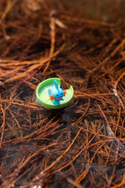 精灵宝可梦 集集乐！叠叠乐！宝可梦森林3 ～迷途的前方～