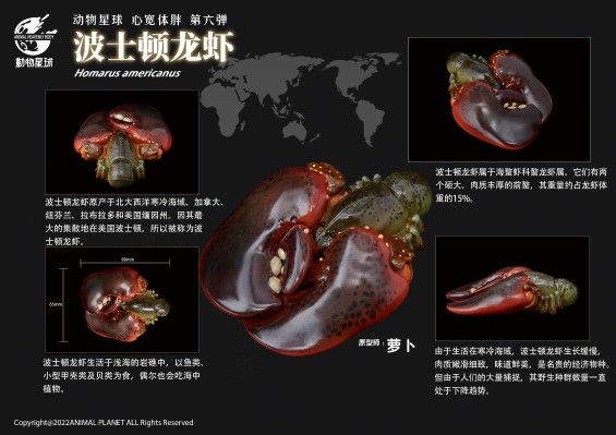 心宽体胖 甲壳类动物