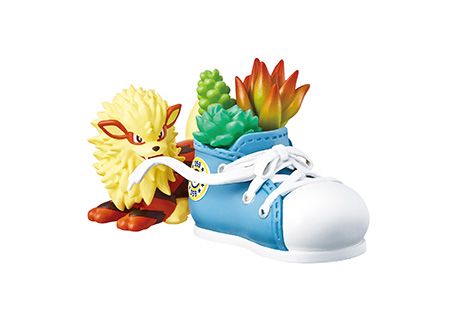 精灵宝可梦 宝可梦 Pocket Botanical