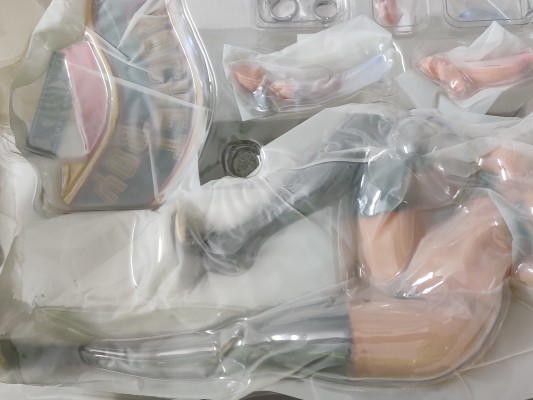 melonbook 扶她挂画 伊丝纳妮