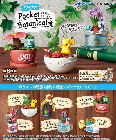 精灵宝可梦 宝可梦 Pocket Botanical