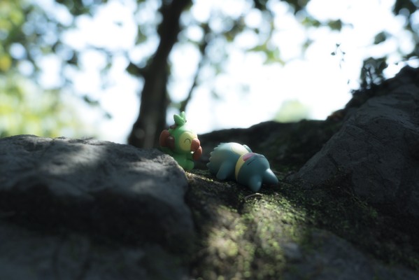 精灵宝可梦 集集乐！叠叠乐！宝可梦森林3 ～迷途的前方～