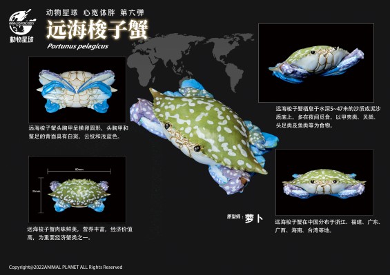 心宽体胖 甲壳类动物