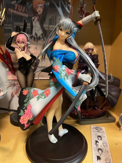 赵云子龙 漫画14卷版 蒼天(异色・青) 