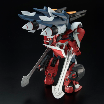 MG 机动战士高达SEED ECLIPSE 金恩角斗士型