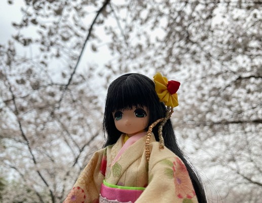 EX☆Cute 美羽公主-在满月的夜里-