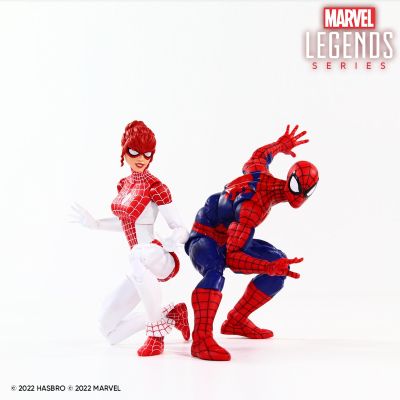 漫威传奇系列  蜘蛛侠与花网蜘蛛侠