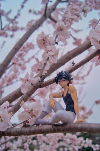 Special Figures 幽☆游☆白书 藏马