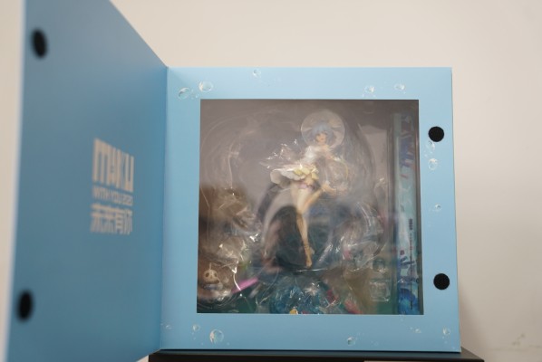 Vocaloid 初音未来 未来有你 2020演唱会Ver.