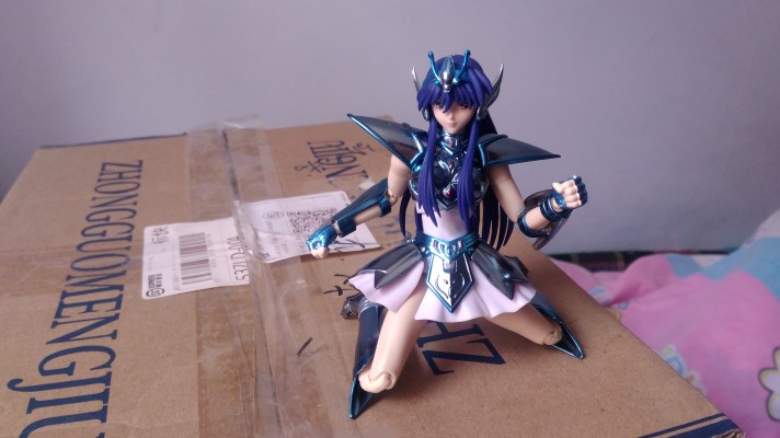 圣斗士圣衣神话 圣斗士星矢 圣斗少女翔 小马座 响子 & Equuleus Kyouka Cloth Parts set