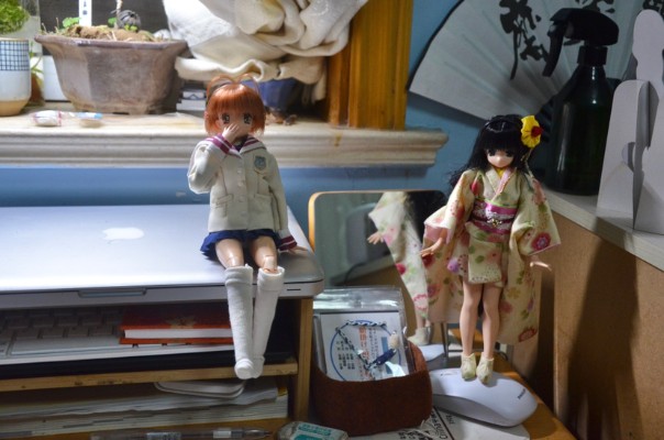 AZONE综合可动人形系列 6 CLANNAD 古河渚