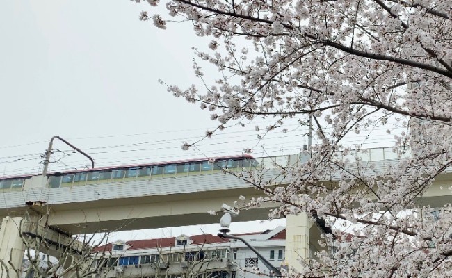 EX☆Cute 美羽公主-在满月的夜里-