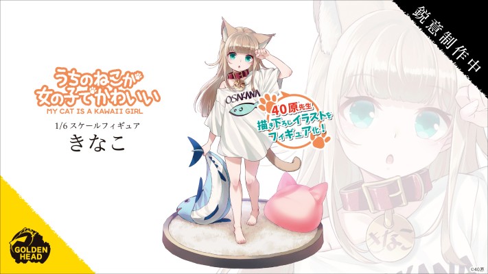 我家的猫是可爱女孩 黄豆粉 早安