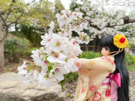 EX☆Cute 美羽公主-在满月的夜里-