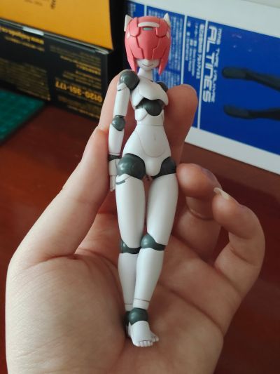 POLYNIAN 机械新人类 Polynian 沙姆洛克(F/G)