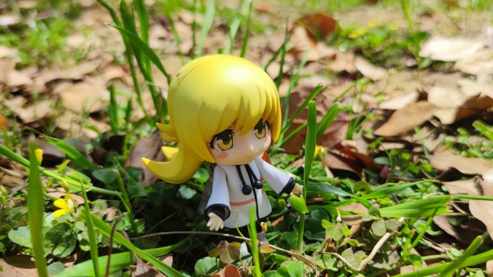 粘土人 #424 伪物语 忍野忍