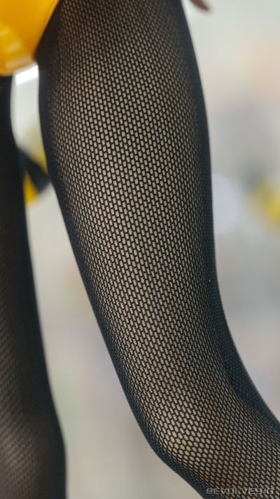 B-style 龙与虎 逢坂大河 老虎