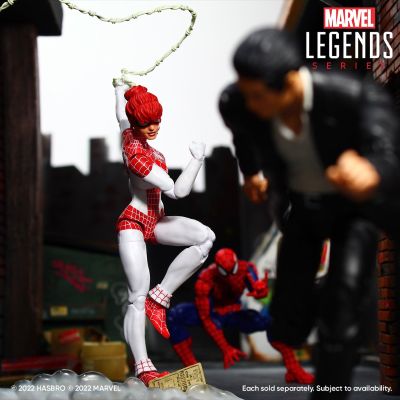 漫威传奇系列  蜘蛛侠与花网蜘蛛侠