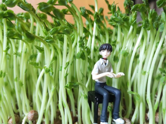 新世纪福音战士新剧场版 肖像f（forte）