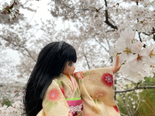 EX☆Cute 美羽公主-在满月的夜里-