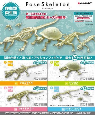 多姿骷髅 爬行类两栖类No.204 娃娃鱼