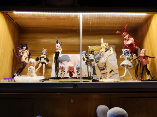 虚拟主播 白神遥