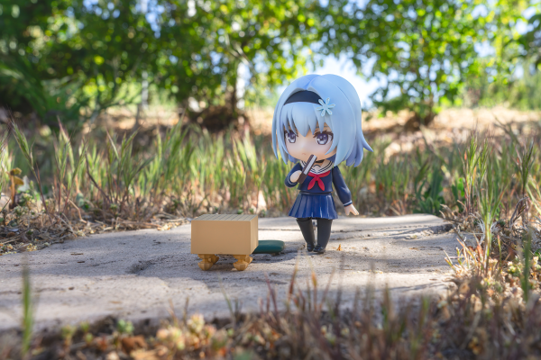 龙王的工作 空银子 猫耳师姐