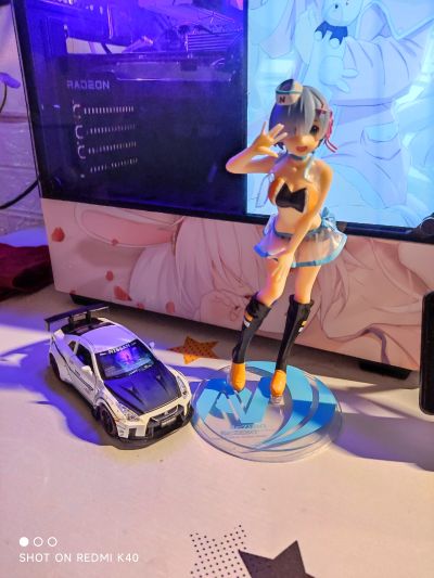 Re：从零开始的异世界生活 蕾姆  举牌女郎ver.