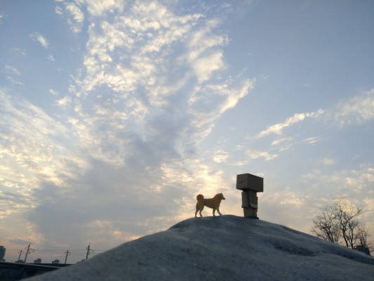 玩具箱里乱扔也OK软胶2  四叶妹妹！ 阿楞