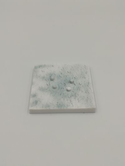 Re：从零开始的异世界生活 爱蜜莉雅  -儿时的岁月-