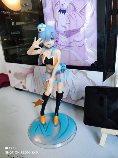 Re：从零开始的异世界生活 蕾姆  举牌女郎ver.