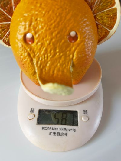 果物精灵 橙象