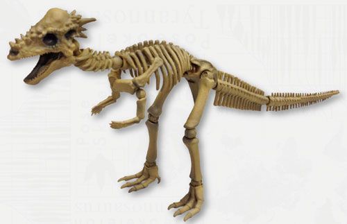 多姿骷髅 恐龙系列107 帕奇凯法龙 巴奇火龙