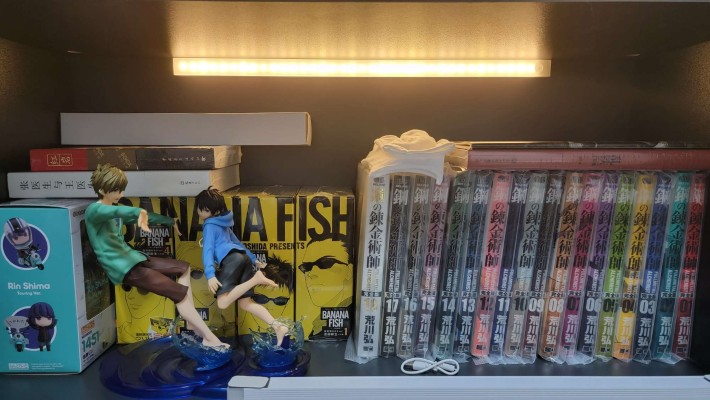 ToHeart2 向坂環 -バケーションver.- (通常版黑)